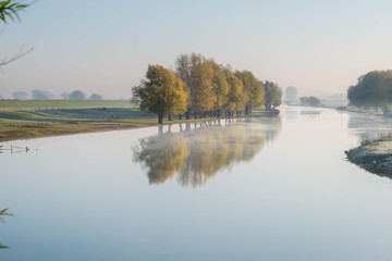 Group of colorful trees with reflection on mirror-like water