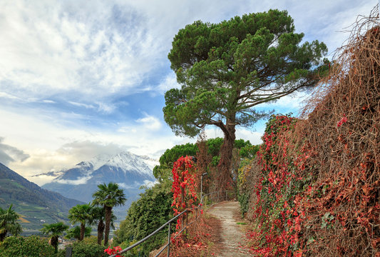 Tappeiner path in autumn. View of the snow-capped Alps. City of Merano, Trentino-Alto Adige region, South Tyrol, Italy, Europe.