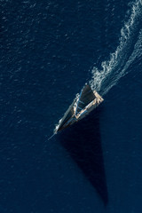 French Riviera - modern sail race straight above aerial in diagonal view in St -Tropez