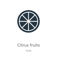 Citrus fruits icon vector. Trendy flat citrus fruits icon from food collection isolated on white background. Vector illustration can be used for web and mobile graphic design, logo, eps10