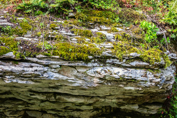 Rock of layered stone overgrown with grass and moss.