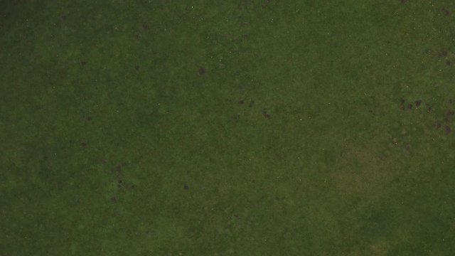 Aufschwenk von einem Park bis hoch zur Skyline von M&uuml;nchen im Herbst