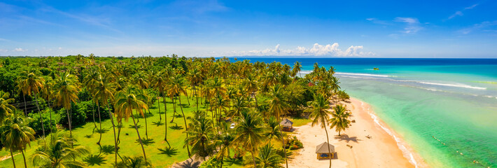 Coconut Palm trees on white sandy beach in Caribbean sea, Saona island. Dominican Republic. Beautiful travel holidays background. - obrazy, fototapety, plakaty