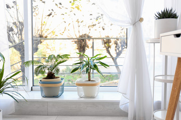 Fototapeta na wymiar Stylish room interior with beautiful plants. Home design idea