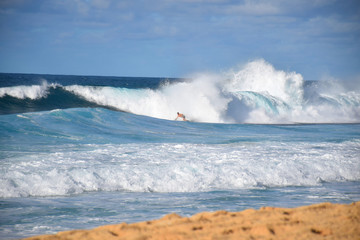 Naklejka premium 9/10: Hawaiian Surfer Taking on a Massive Rainbow Wave at the Banzai Pipeline, Oahu, Hawaii