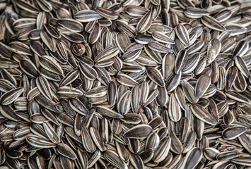 hip dried sunflower black seed bio
