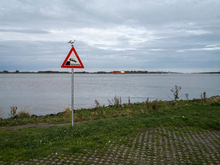 Traffic sign "Waterside edge" with a gull sitting on top