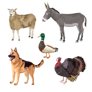 group of animals farm characters