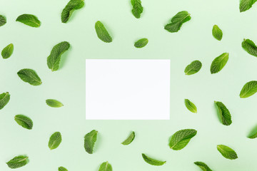Blank white card and mint leaves random pattern on the trendy solid green backdrop, place for text