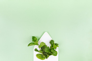 White envelope with mint leaves on the trendy solid green backdrop, place for text