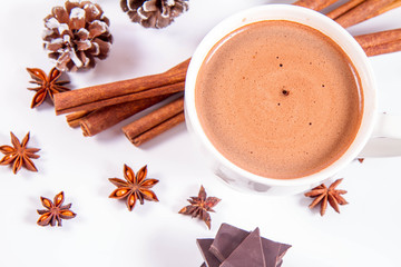 Fototapeta na wymiar Cup of hot chocolate with cinnamon, anise stars, pieces of dark chocolate and some cones