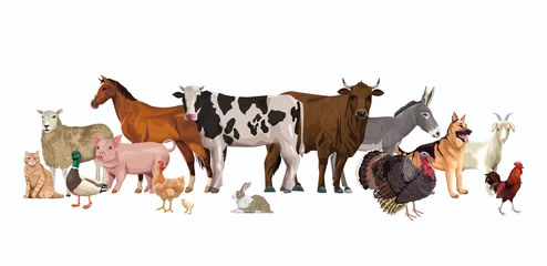 Fotobehang group of animals farm characters © Jemastock
