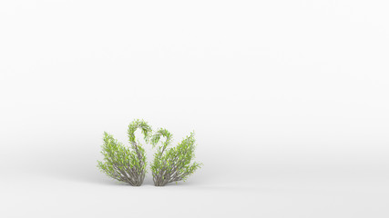 Growing Tree in a shape of a swan. Eco Concept. 3D rendering.