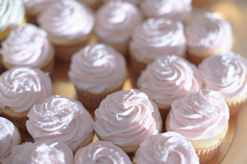 Pink strawberry frosted cupcakes at dessert table