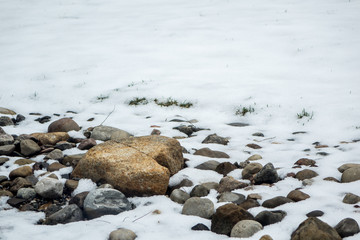 Small stone garden covered after the first snow