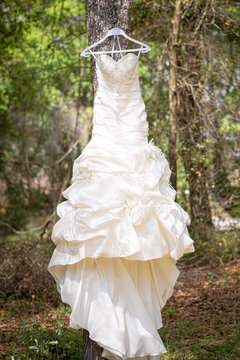 White wedding dress on hanger hanging from tree in the woods
