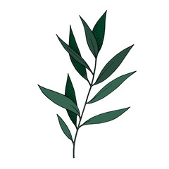 Vector Eucalyptus leaves branch. Black and white engraved ink art. Isolated branches illustration element.