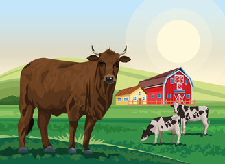 bull and cows in the landscape scene