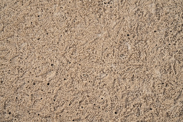 Top view of Soldier Crab on the beach making countless of sand balls.