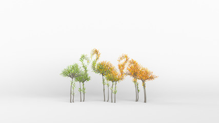 Growing Tree in a shape of a flamingo. Eco Concept. 3D rendering.