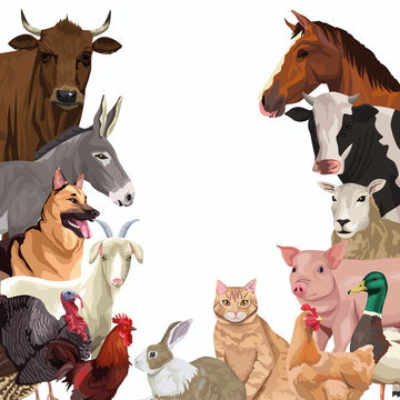 group of animals farm characters