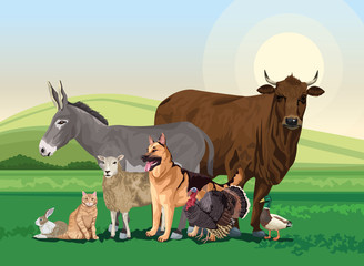 group of animals farm in the landscape scene