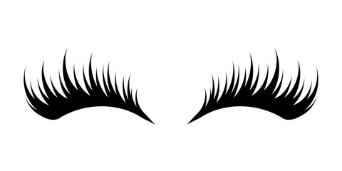 Eyelashes on white background
