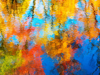 Autumn Day Reflection