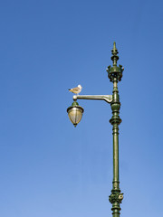 Fototapeta na wymiar Seagull leaning on top of a lamppost in Lisbon
