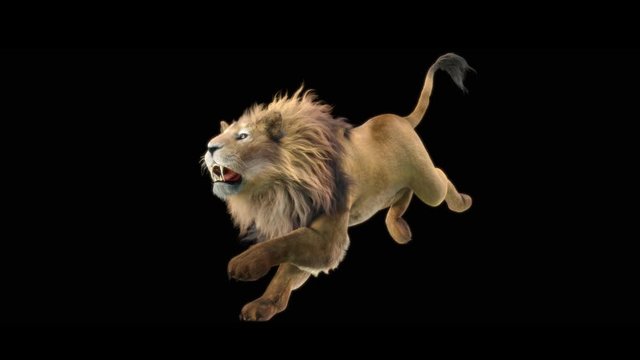 lion Zoo CG fur 3d rendering animal realistic CGI VFX Animation Loop composition 3d mapping cartoon Motion Background, (with Alpha Matte)