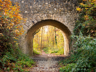 Fototapeta na wymiar Entrée en forêt