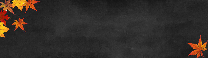 autumn – frame of colorful leaves isolated on a black concrete texture – background panorama banner long