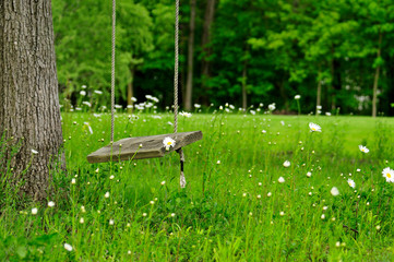 Swing in the Daisies