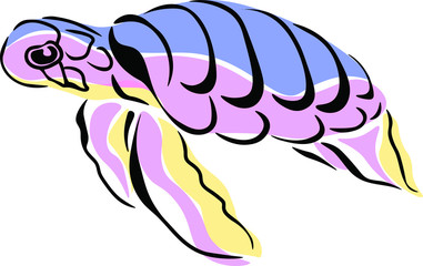 Turtle colorful vector animal illustration on white background . Concept  for print, web design, logo , icon