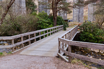 Fototapeta premium Wooden bridge in the park Glenfinnan Scotland Highlands