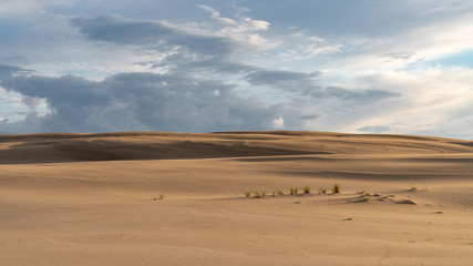 Fototapeta na wymiar Sand dunes near Łeba, Poland in the summer