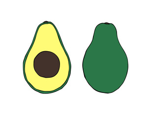 Vector hand drawn doodle sketch colored avocado isolated on white background