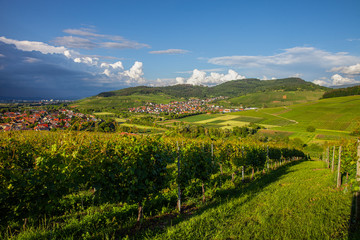 Obraz premium Ebringen_1135