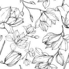 Vector Magnolia bloemen botanische bloemen. Zwart-wit gegraveerde inkt kunst. Naadloze achtergrondpatroon.