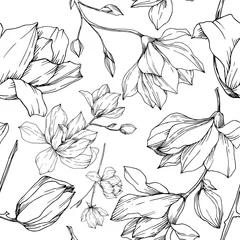 Fototapete Schwarz-weiß Vektor Magnolia Blumen botanische Blumen. Schwarz-weiß gravierte Tintenkunst. Nahtloses Hintergrundmuster.