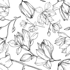 Vector Magnolia floral botanical flowers. Black and white engraved ink art. Seamless background pattern.
