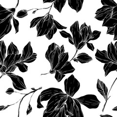 Vector Magnolia floral botanical flowers. Black and white engraved ink art. Seamless background pattern. - 304248023