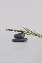 minimalist calming visuals, stacked pebbles with small branch of leaves surrounded by negative space