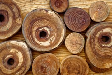 wooden background with a round slices of cherry, apple tree, plum-tree and ash lumber