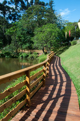 wooden bridge in park