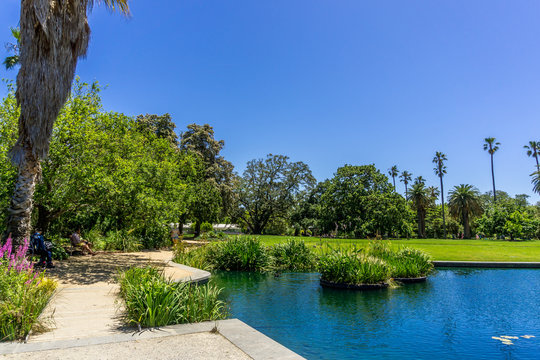 St Kilda Botanical Gardens with lake, Victoria, Australia