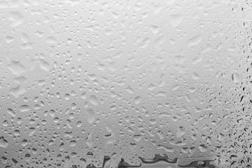 Water drops on light background, closeup view