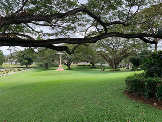 Obraz premium Peaceful setting at a war cemetery PNG looking over manicured green lawn.