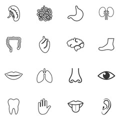 human anatomy icon vector design symbol