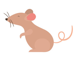 Isolated mouse cartoon vector design